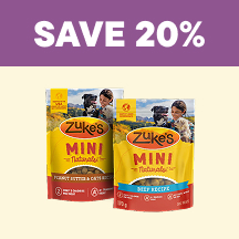 Dog Flyer 1 - Save 20%