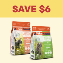 Cat Megamenu Callout 3 - Save $6