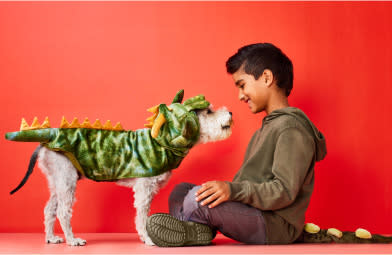 A happy dog wears a matching Dinosaur costume with the child owner