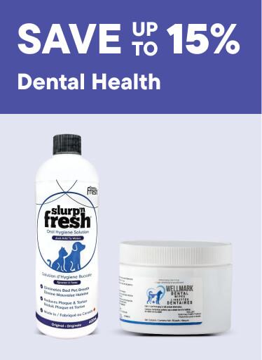 Dental Health – Save up to 15%
