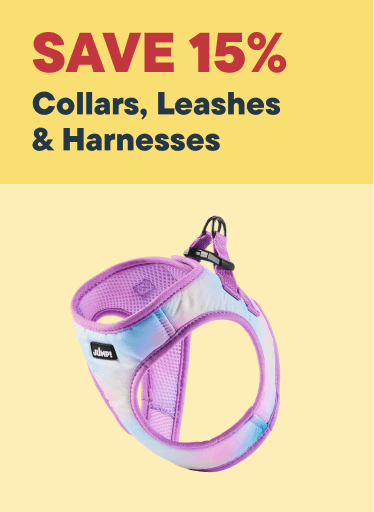 Collar, Leashes & Harness - Save 15%