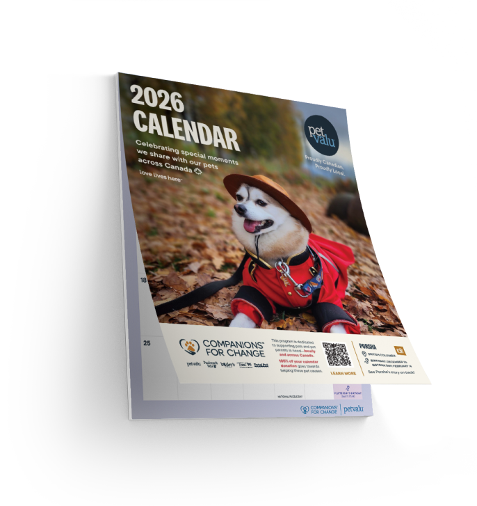 CFC-Calendar-2026 1