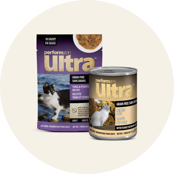 Wet Cat Food
