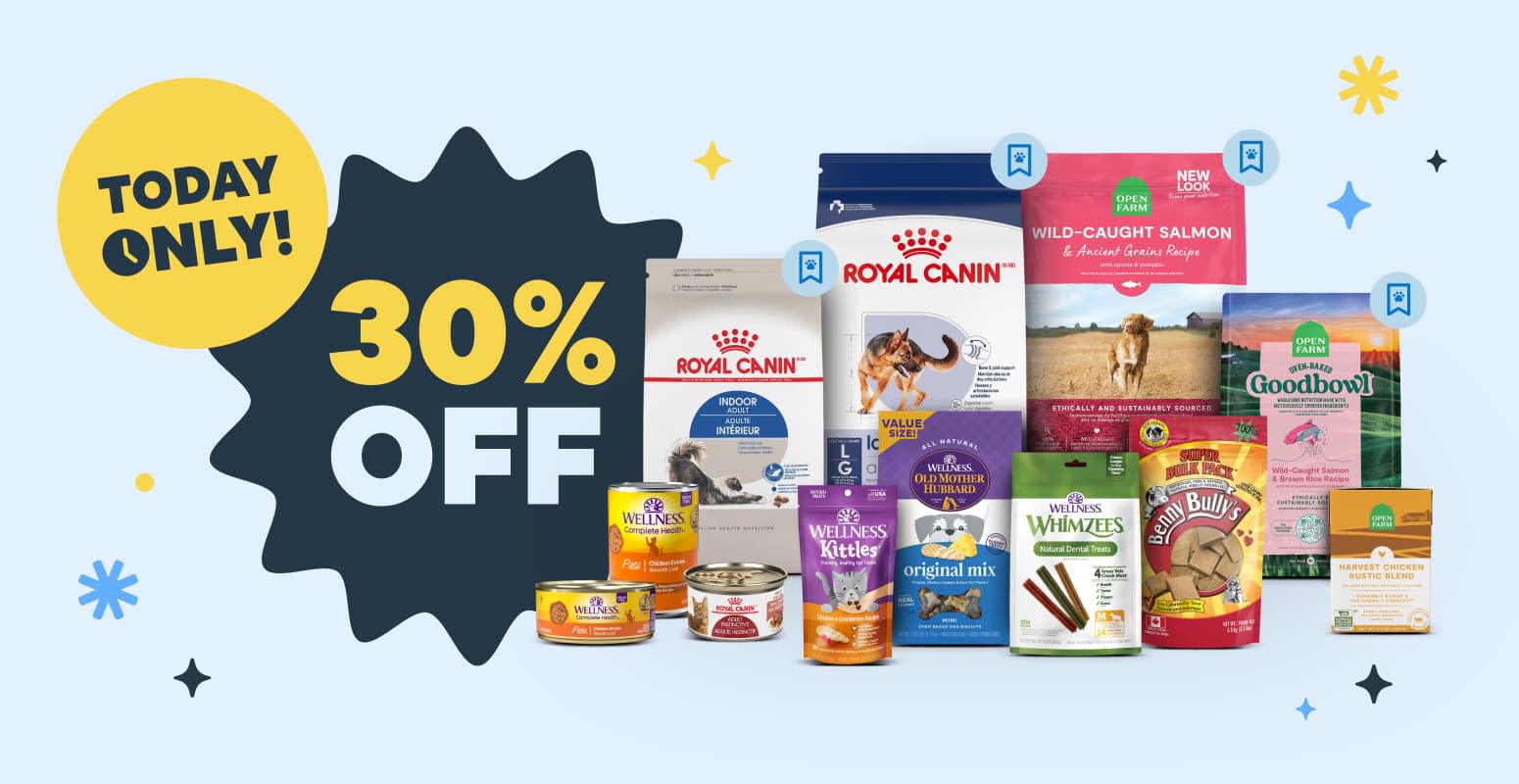 Cyber Monday On Now - Hero Banner Column 1 Image Desktop