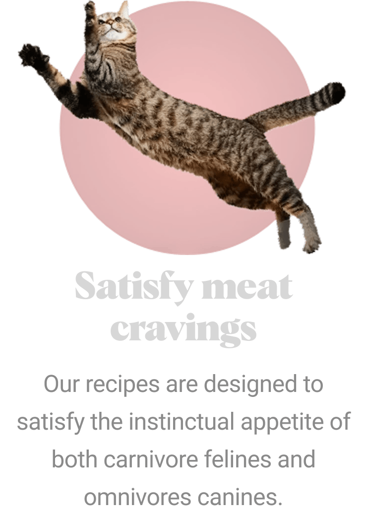 Performatrin Ultra - Your furball's fine dining experience
