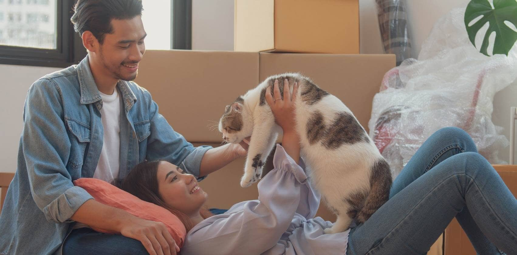 DPL couple offer comfort to their cat while packing to move