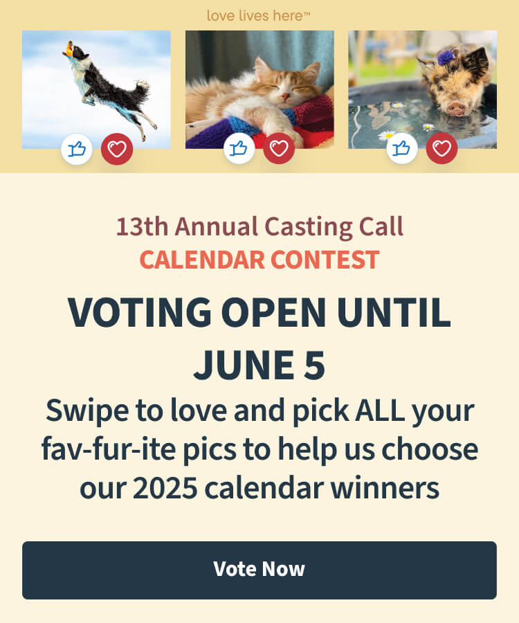 13th Annual Calendar Casting Call. Swipe right to help us pick our 2025 Calendar winners - Vote Until June 5