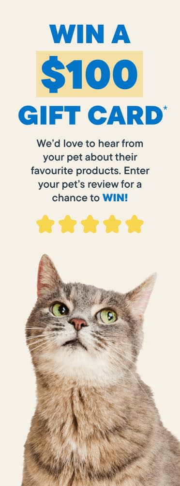 Review Contest Banner Cat