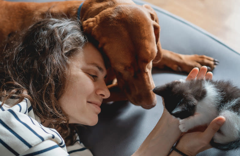 Senior dog and owner cuddling a kitten