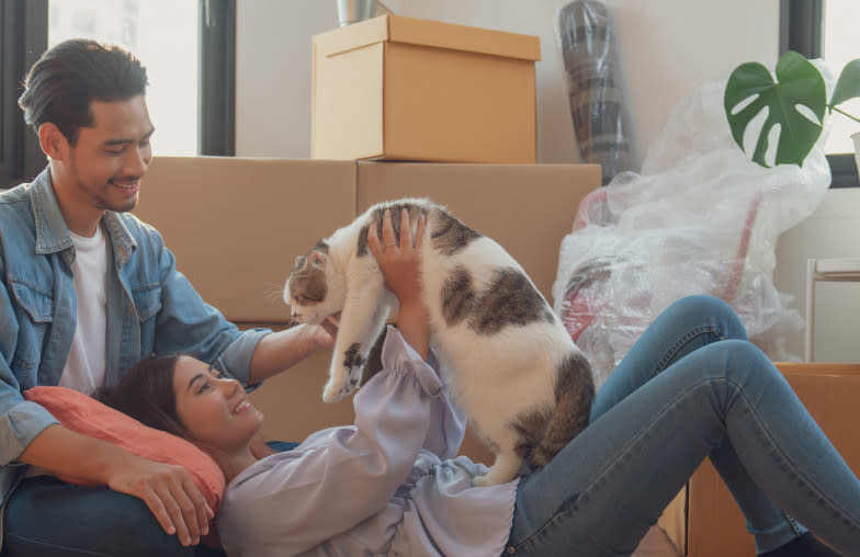 DPL couple offer comfort to their cat while packing to move