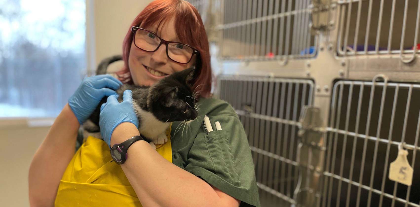 Black and white cat is held by shelter employee wearing a yellow apron and gloves, with animal crates in the background