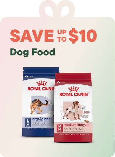 Save up to $10 on Dog Food