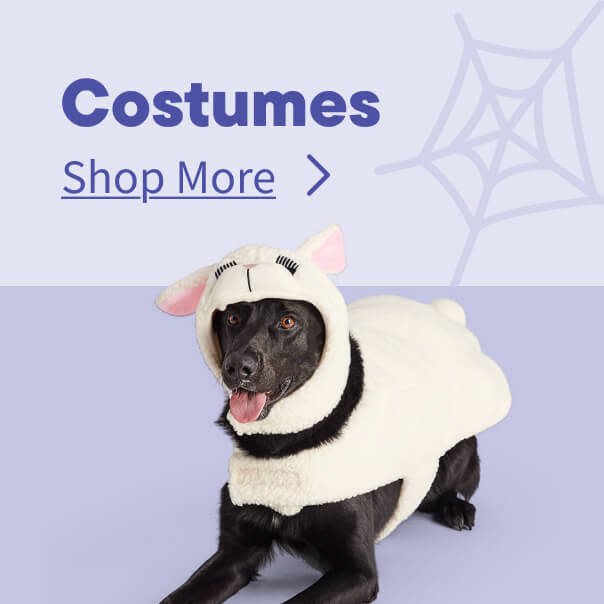 Halloween Costumes