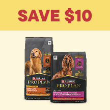 Dog Megamenu Callout 2 - Save $10