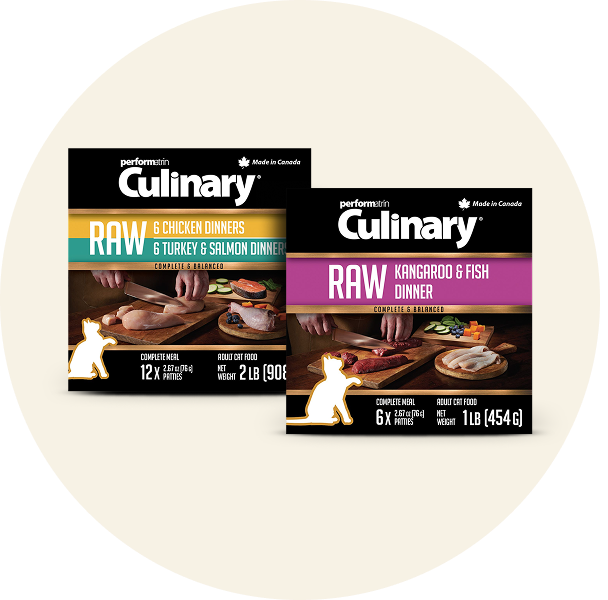 Frozen Raw Cat Food