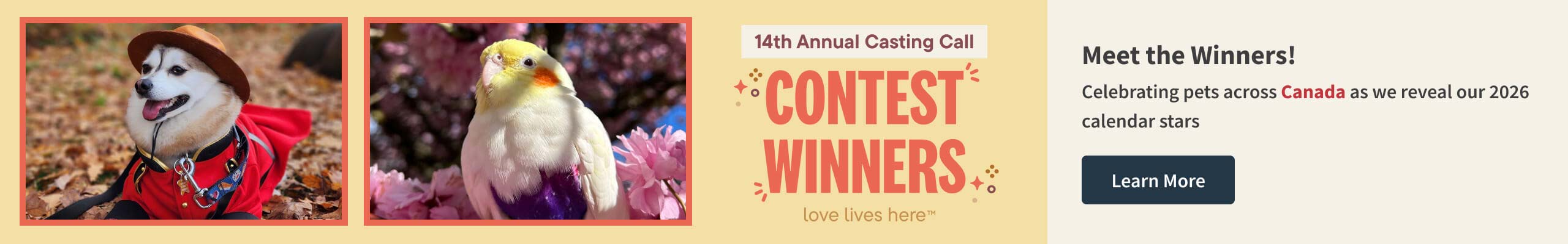 14th Annual Calendar Casting Call Contest Winners. Celebrating pets across Canada as we reveal our 2026 calendar stars