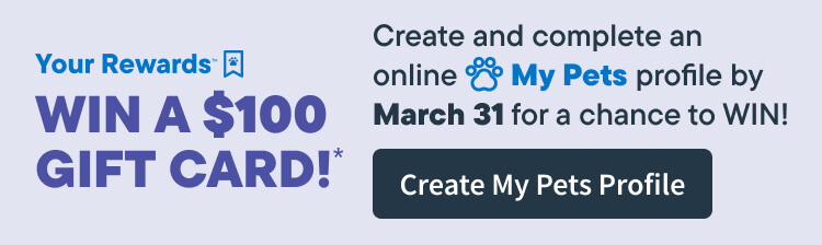 XL Bistro Box Dog Food