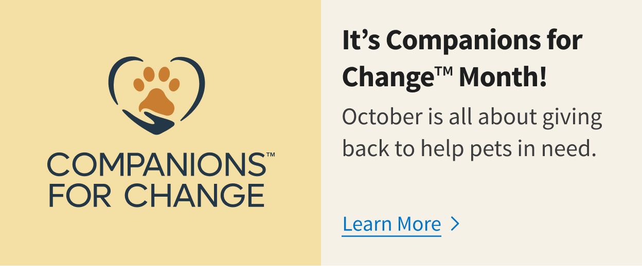 Companions for change program