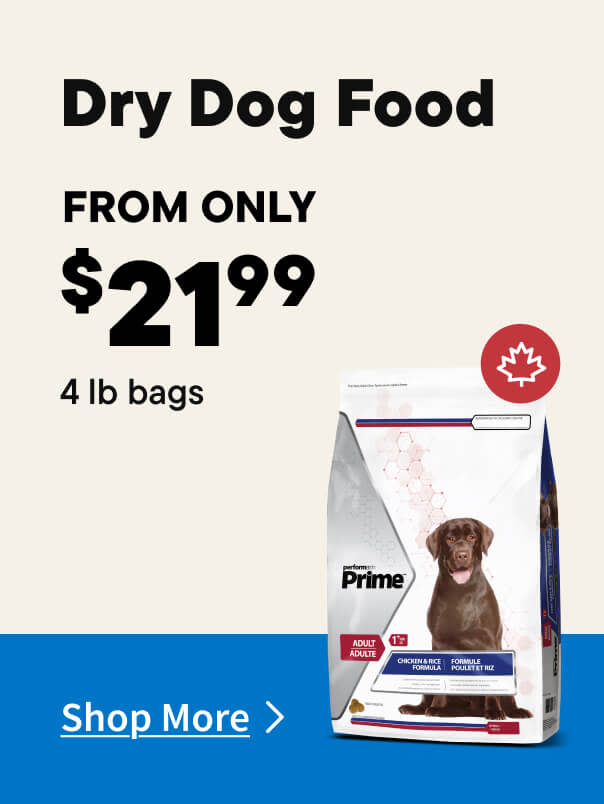 Dry Dog Food Sale
