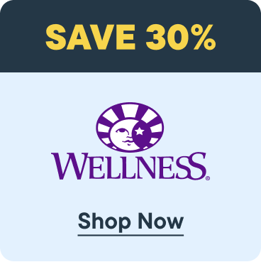 Save 30% Wellness