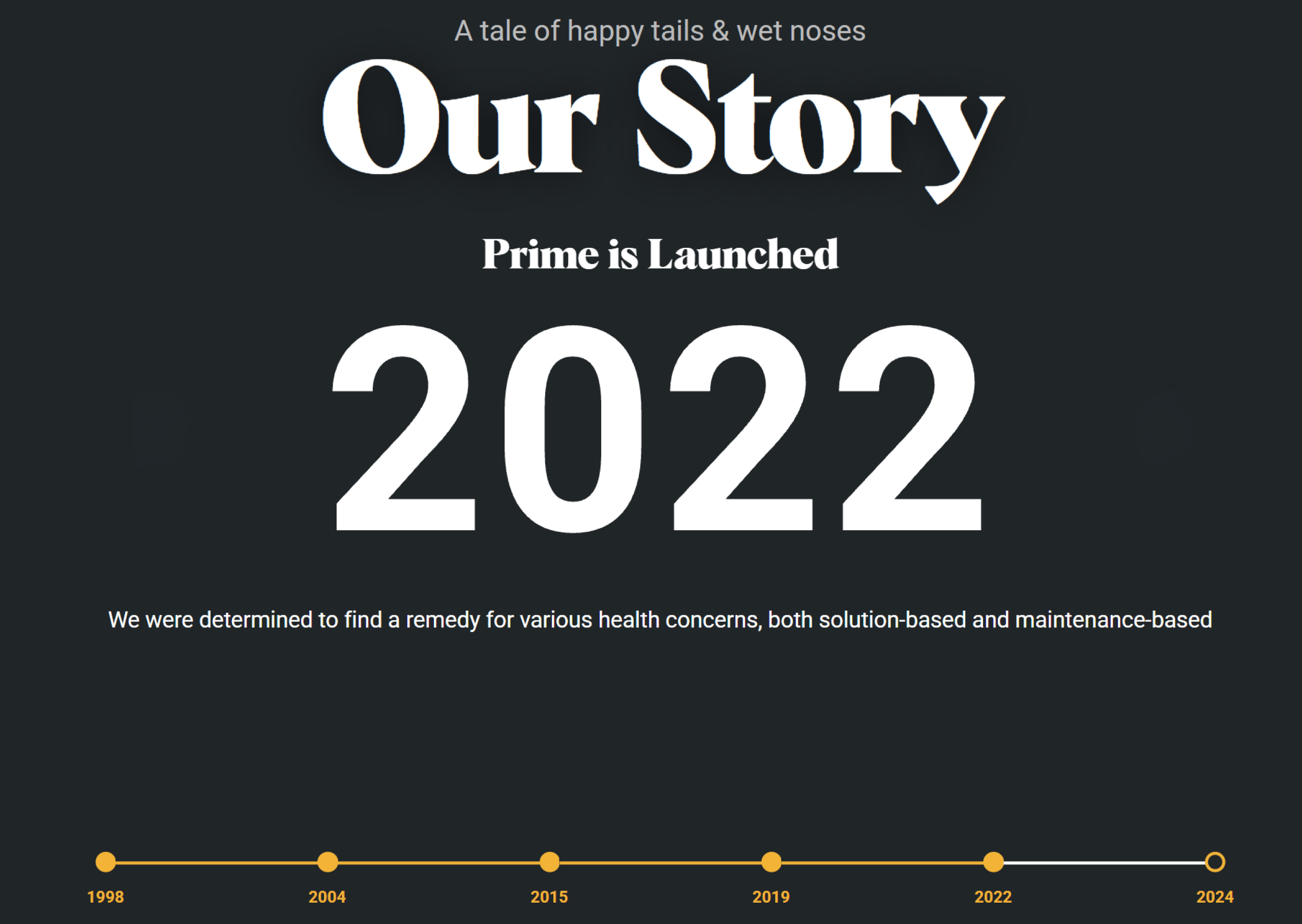 Performatrin About Us - Our Story Year 2022