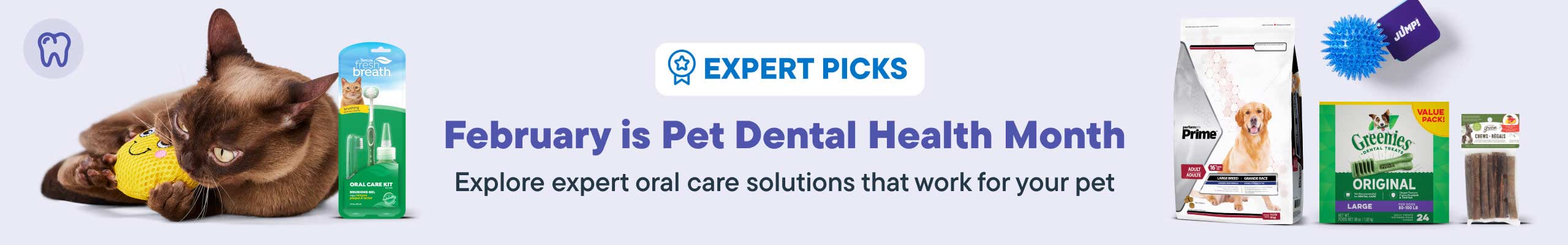 February is Pet Dental Month