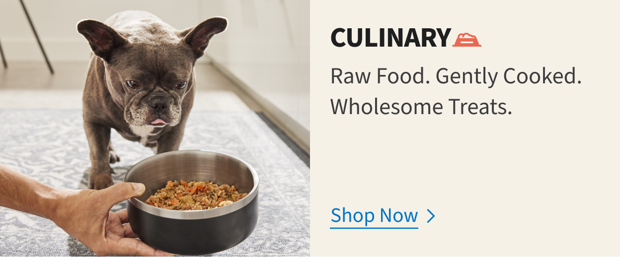 Culinary. Raw Food. Gently Cooked. Wholesome Treats. Shop Now
