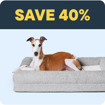 Dog - Top Deals Callout 4: Save 40%