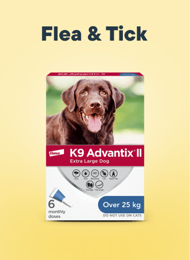 Flea & Tick