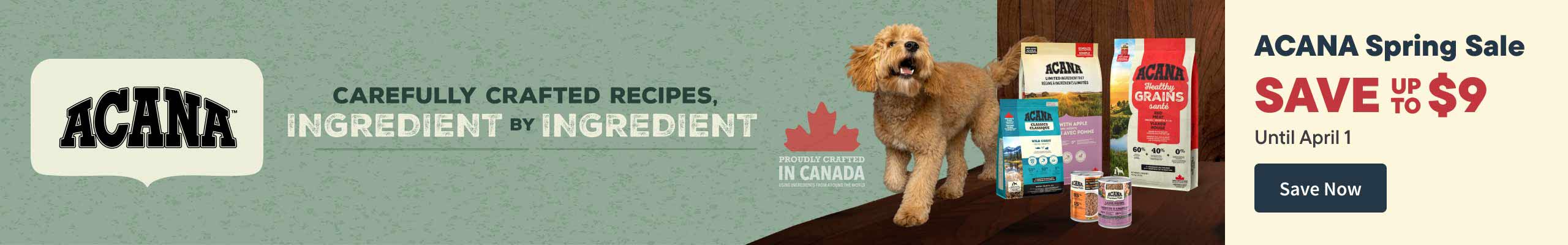 Champion (ACANA) Promo