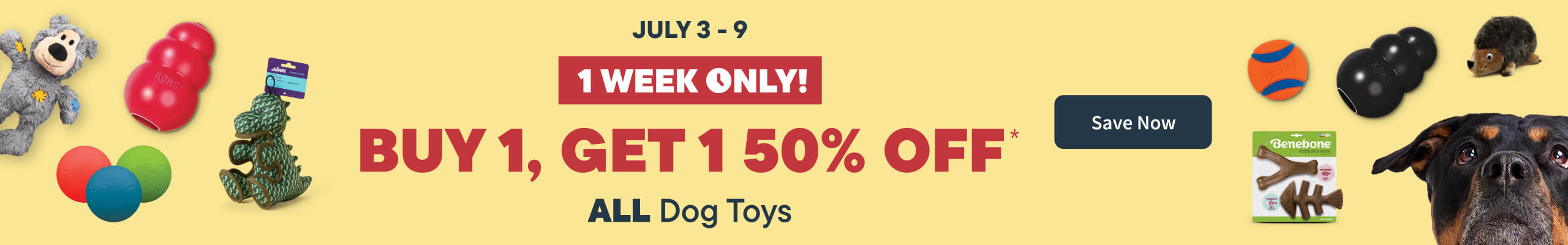 Buy 1 Get 50% off all Dog Toys