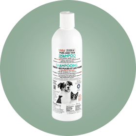 Shop Solutions - Shampoo & Sprays