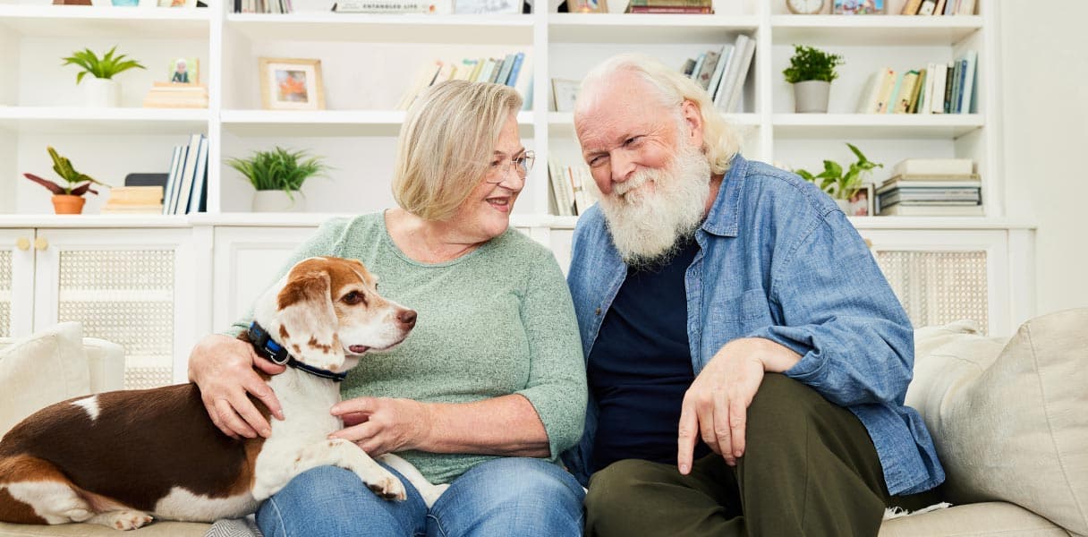 Happy senior man and woman sitting on their couch with their pet dog and sharing a laugh