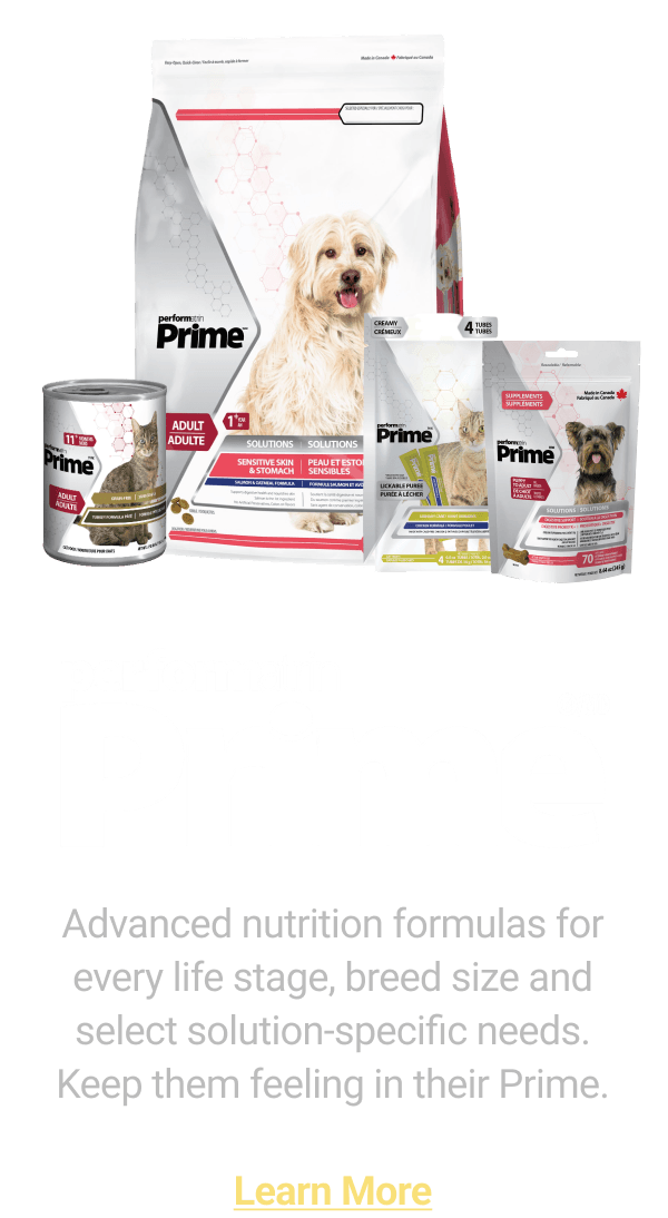 Performatrin Prime Learn More