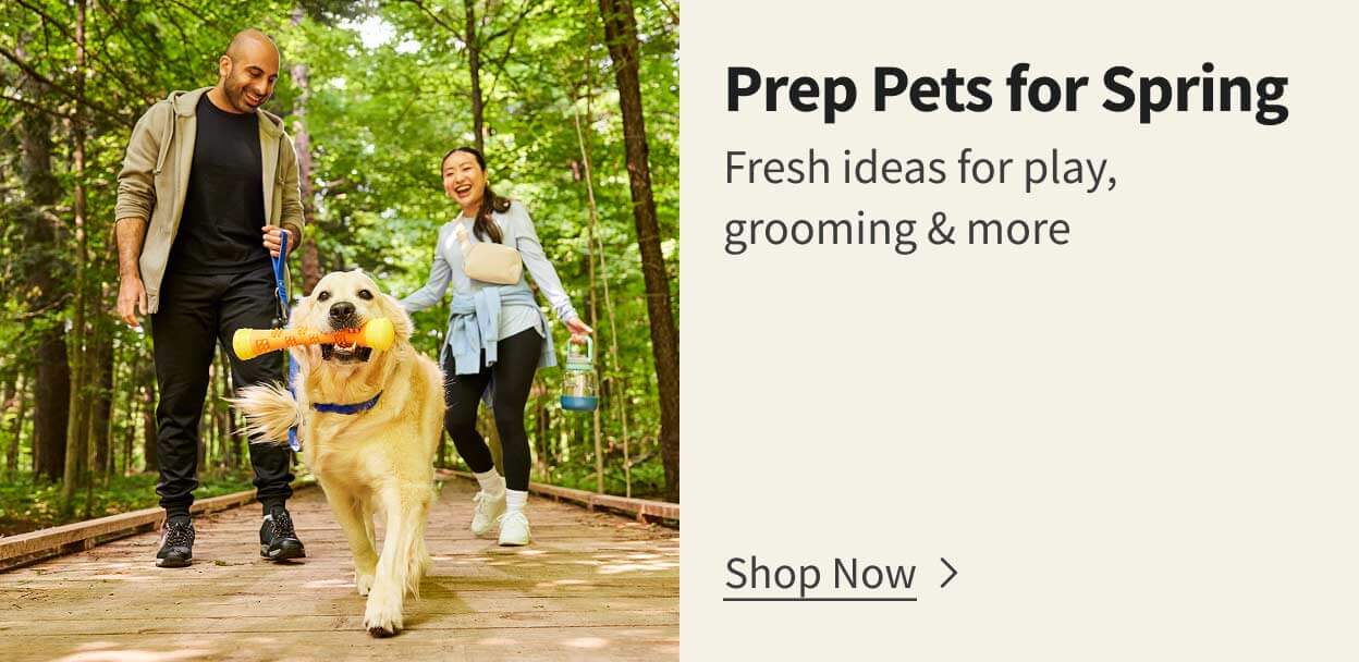 Prep Pets for Spring. Fresh ideas for play, grooming & more. Shop Now