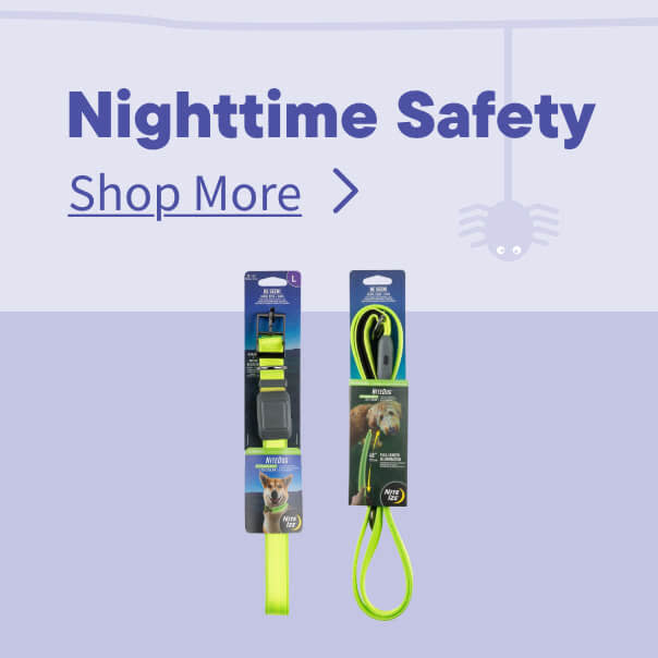 Halloween Nightime Safety