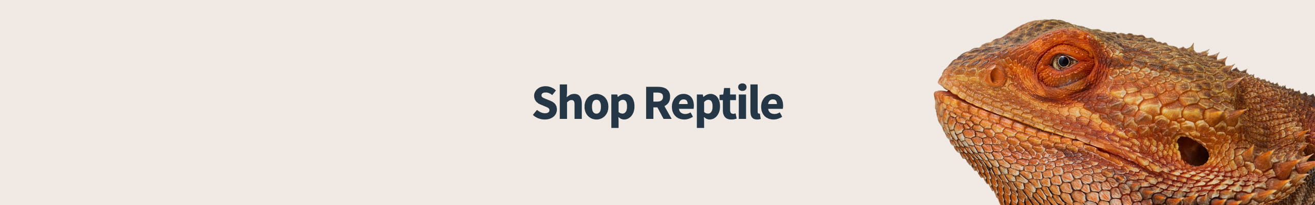 Shop by Pet - Reptile Hero Banner