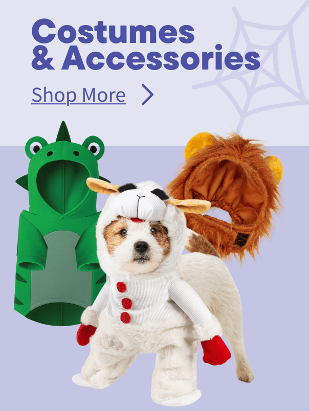 Halloween Costumes & Accessories