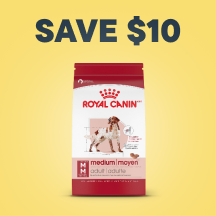 Dog - Top Deals Callout 2: Save $10