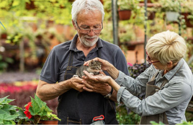 A man and woman in their sixties enjoy holding and smiling at a cat