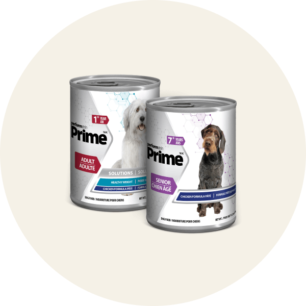 Performatrin Prime Wet Dog Food