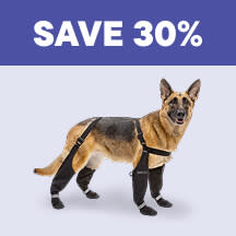Dog - Top Deals Callout 6