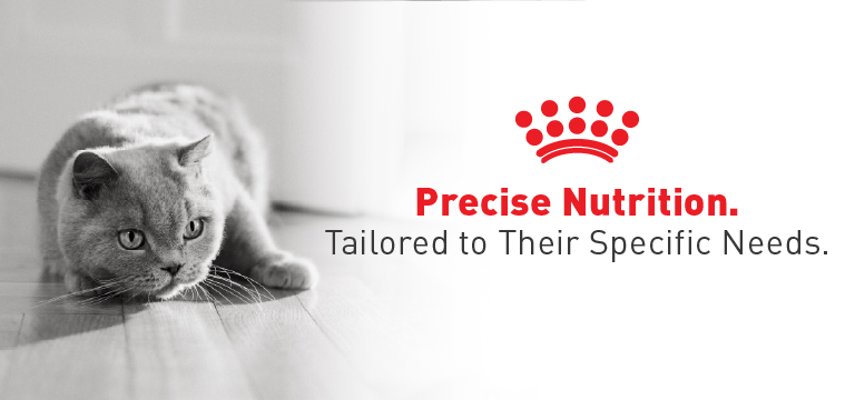 Royal Canin - Precise Nutrition - Tailored to their specific needs. 