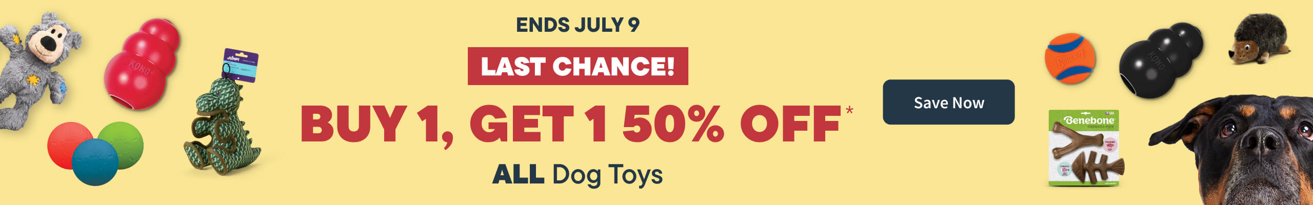 Buy 1 Get 50% off all Dog Toys Last Chance