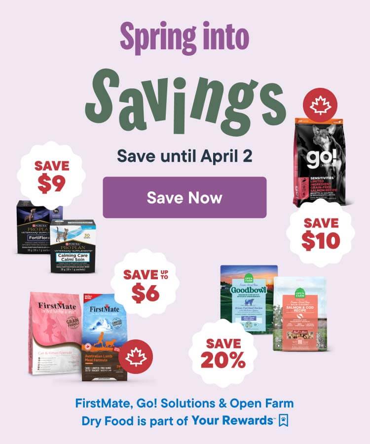 Spring Savings: Save until April 2