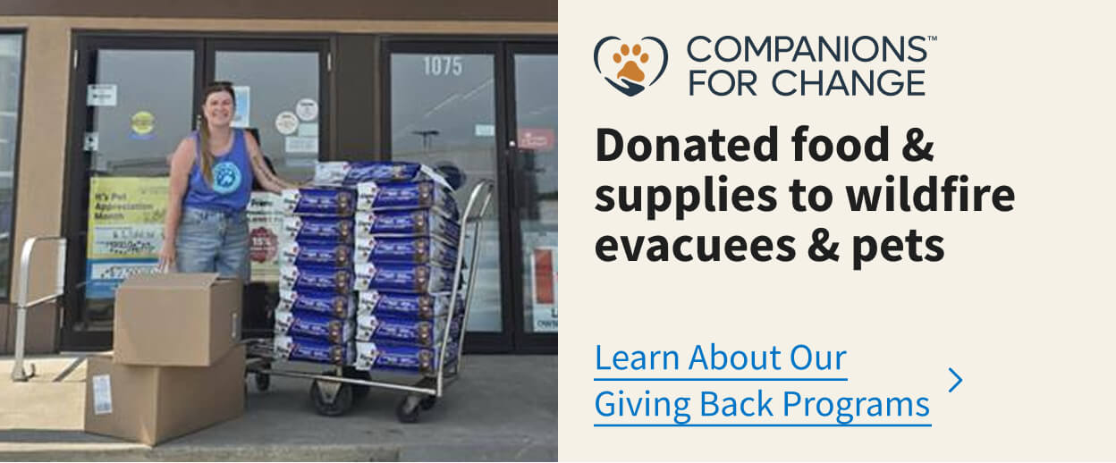 Companions for change program