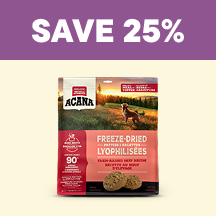 Dog  Flyer 2 - Save 25%