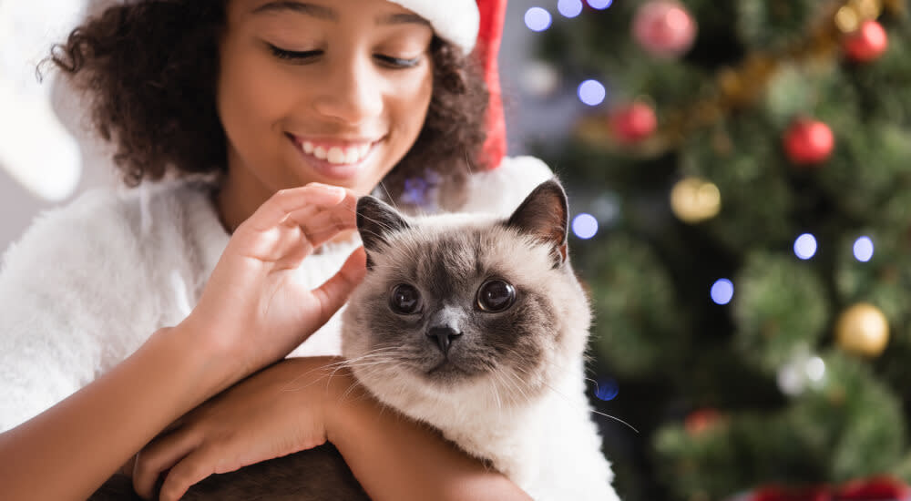 joyful girl in santa hat stroking fluffy cat on blurred background