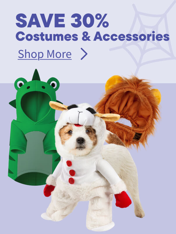 Halloween Costumes & Accessories