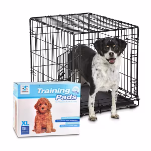 Shop by Category - Dog Test Image